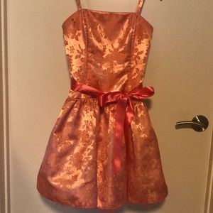 One of a Kind Jessica McClintock Dress